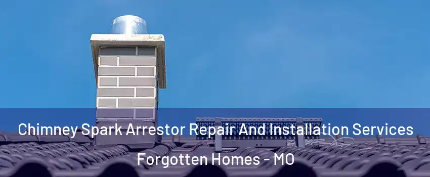 Chimney Spark Arrestor Repair And Installation Services Forgotten Homes - MO