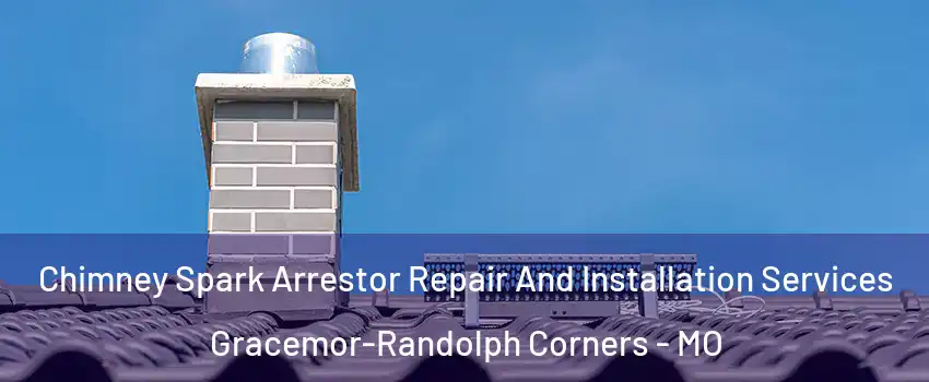 Chimney Spark Arrestor Repair And Installation Services Gracemor-Randolph Corners - MO