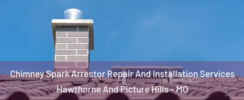 Chimney Spark Arrestor Repair And Installation Services Hawthorne And Picture Hills - MO