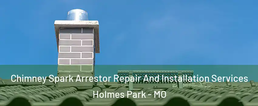 Chimney Spark Arrestor Repair And Installation Services Holmes Park - MO