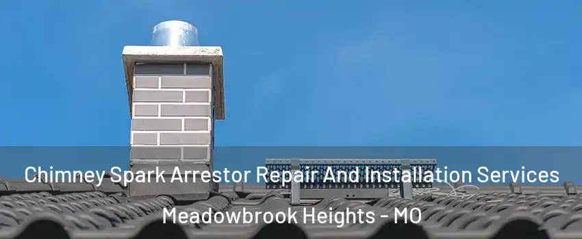 Chimney Spark Arrestor Repair And Installation Services Meadowbrook Heights - MO