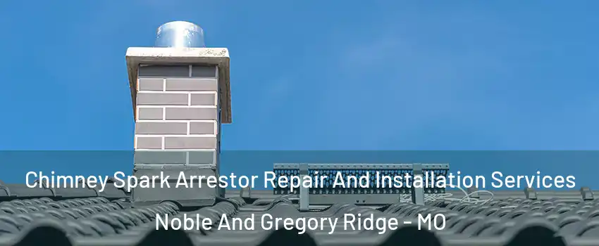 Chimney Spark Arrestor Repair And Installation Services Noble And Gregory Ridge - MO