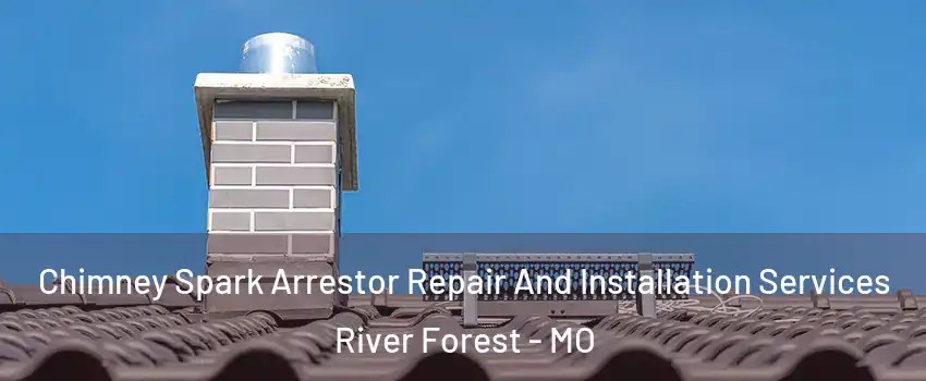 Chimney Spark Arrestor Repair And Installation Services River Forest - MO