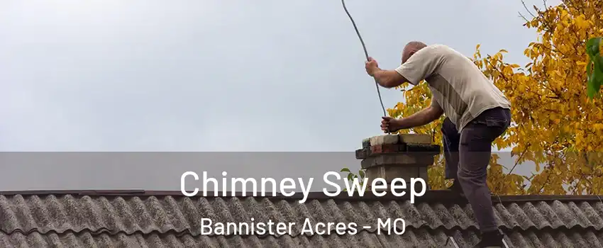 Chimney Sweep Bannister Acres - MO