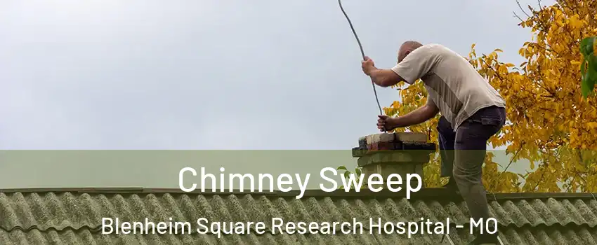 Chimney Sweep Blenheim Square Research Hospital - MO