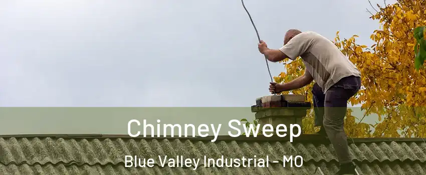 Chimney Sweep Blue Valley Industrial - MO