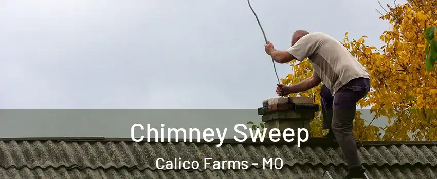 Chimney Sweep Calico Farms - MO