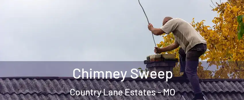 Chimney Sweep Country Lane Estates - MO