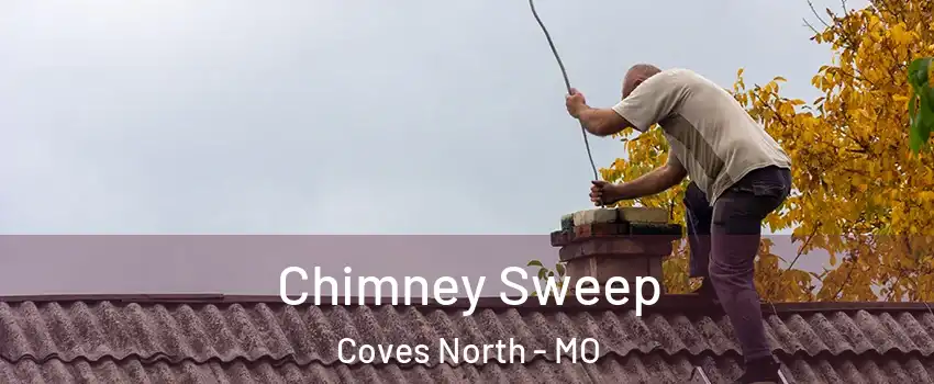 Chimney Sweep Coves North - MO