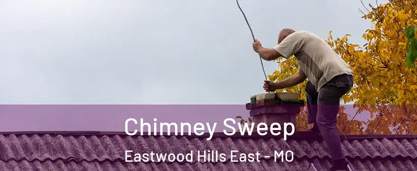 Chimney Sweep Eastwood Hills East - MO