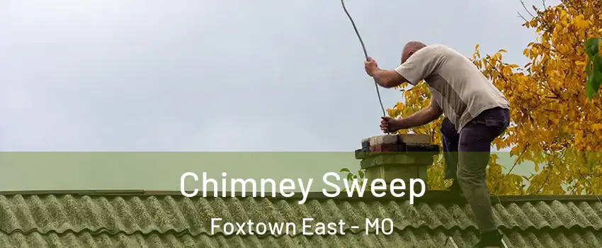 Chimney Sweep Foxtown East - MO