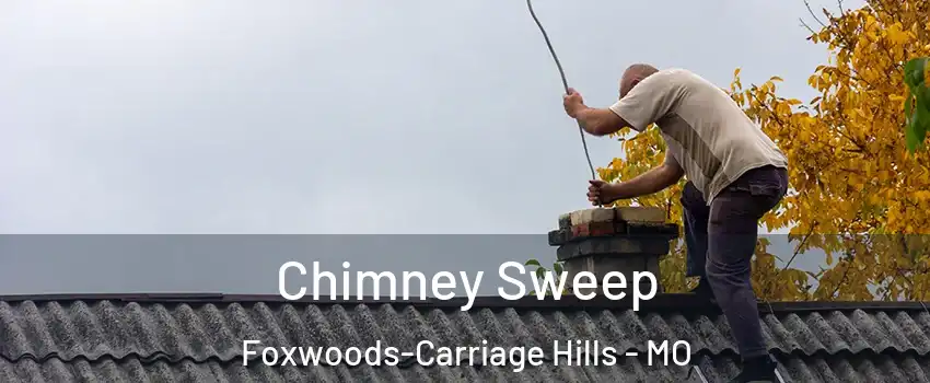 Chimney Sweep Foxwoods-Carriage Hills - MO