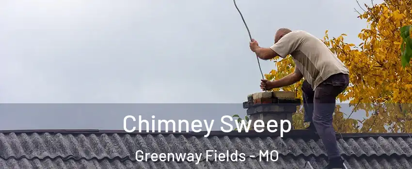 Chimney Sweep Greenway Fields - MO