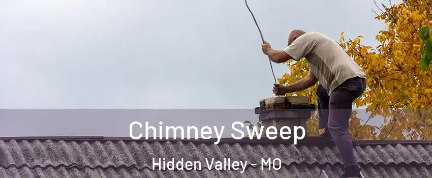 Chimney Sweep Hidden Valley - MO