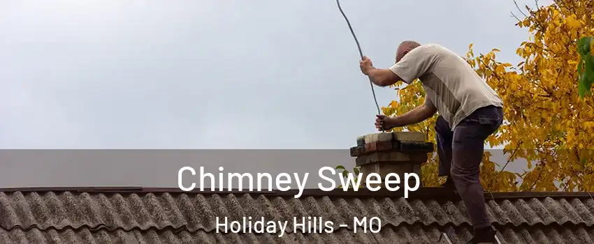 Chimney Sweep Holiday Hills - MO