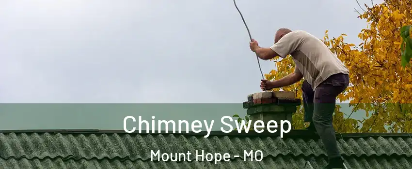 Chimney Sweep Mount Hope - MO