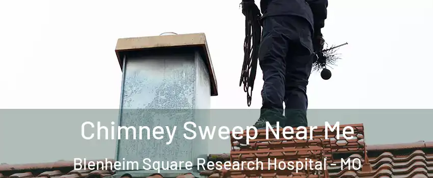 Chimney Sweep Near Me Blenheim Square Research Hospital - MO