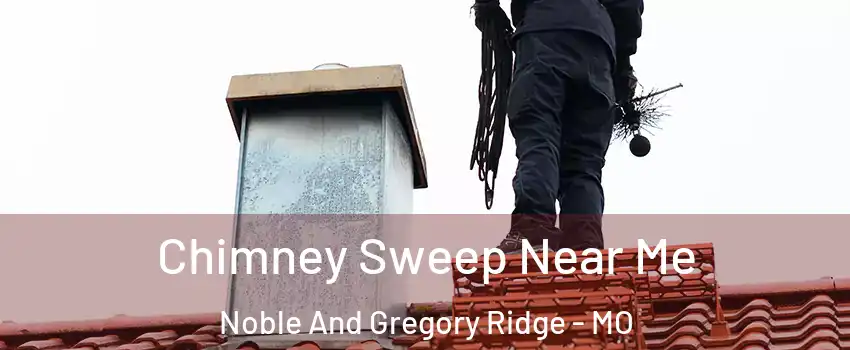 Chimney Sweep Near Me Noble And Gregory Ridge - MO