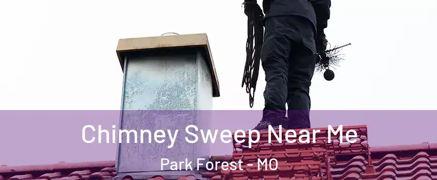 Chimney Sweep Near Me Park Forest - MO