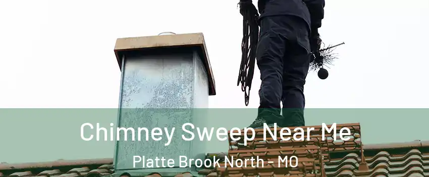 Chimney Sweep Near Me Platte Brook North - MO