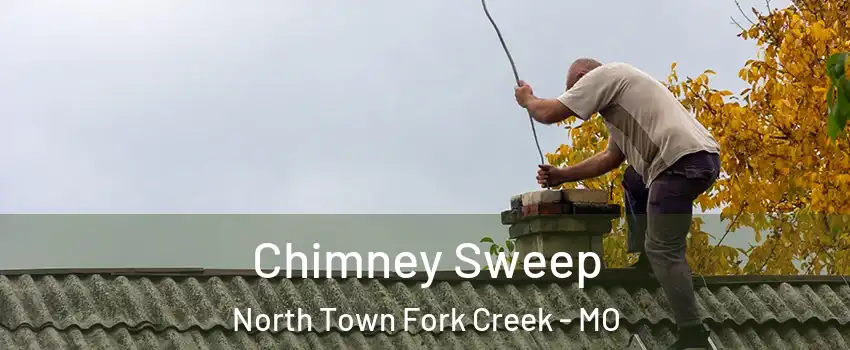 Chimney Sweep North Town Fork Creek - MO