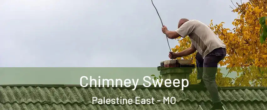 Chimney Sweep Palestine East - MO