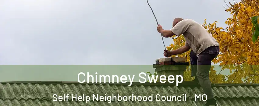 Chimney Sweep Self Help Neighborhood Council - MO