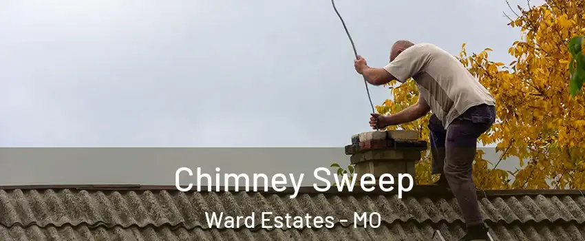 Chimney Sweep Ward Estates - MO