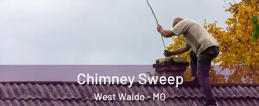 Chimney Sweep West Waldo - MO