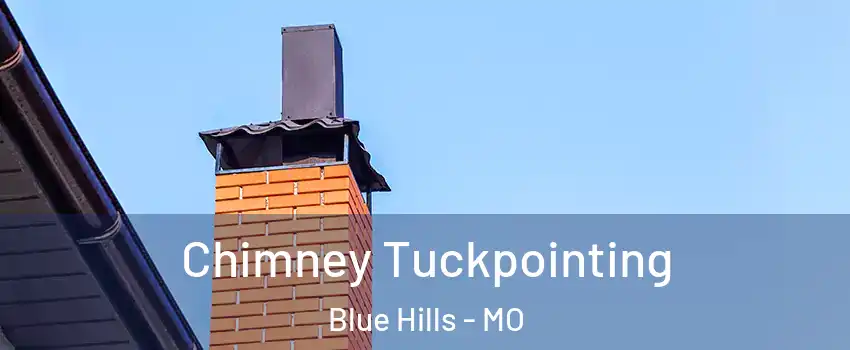 Chimney Tuckpointing Blue Hills - MO