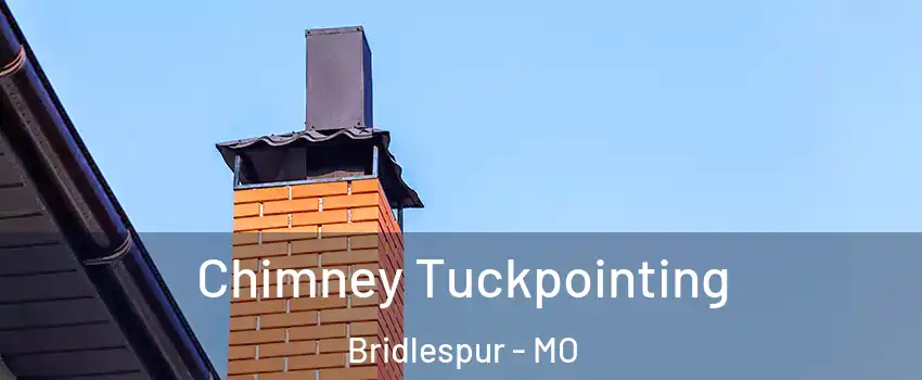 Chimney Tuckpointing Bridlespur - MO