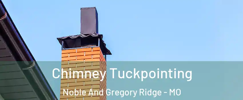 Chimney Tuckpointing Noble And Gregory Ridge - MO