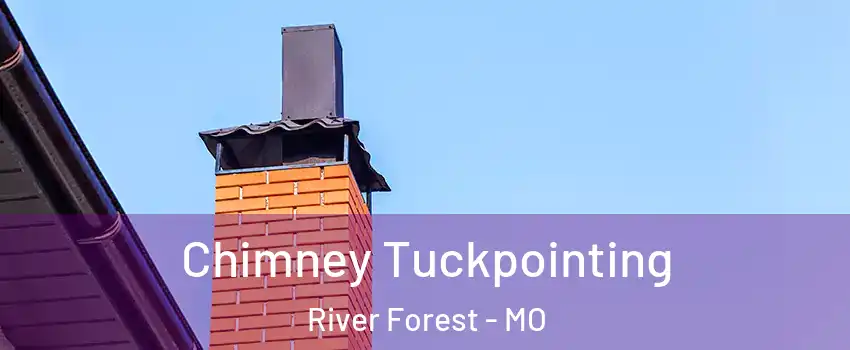 Chimney Tuckpointing River Forest - MO