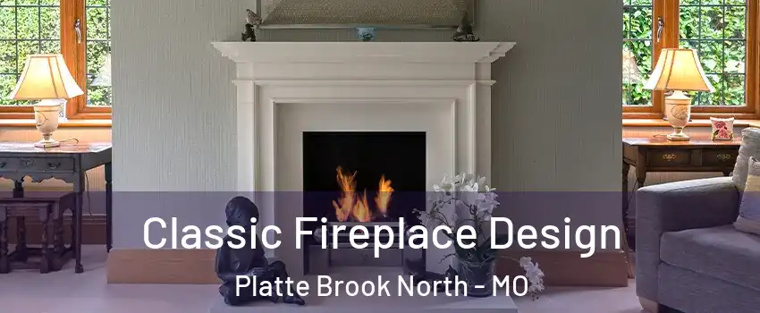 Classic Fireplace Design Platte Brook North - MO