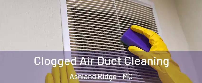 Clogged Air Duct Cleaning Ashland Ridge - MO