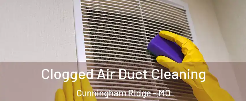 Clogged Air Duct Cleaning Cunningham Ridge - MO