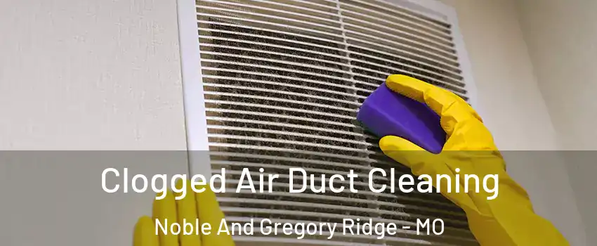 Clogged Air Duct Cleaning Noble And Gregory Ridge - MO