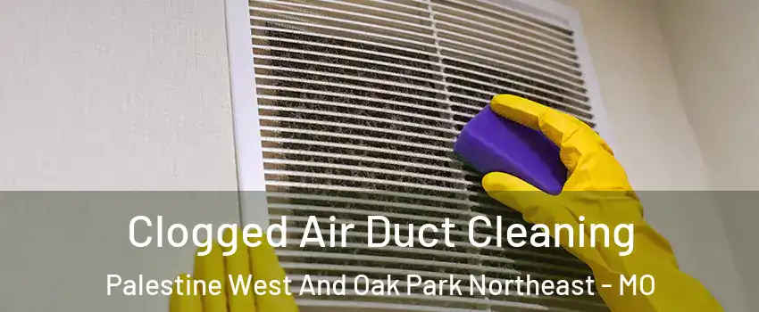 Clogged Air Duct Cleaning Palestine West And Oak Park Northeast - MO