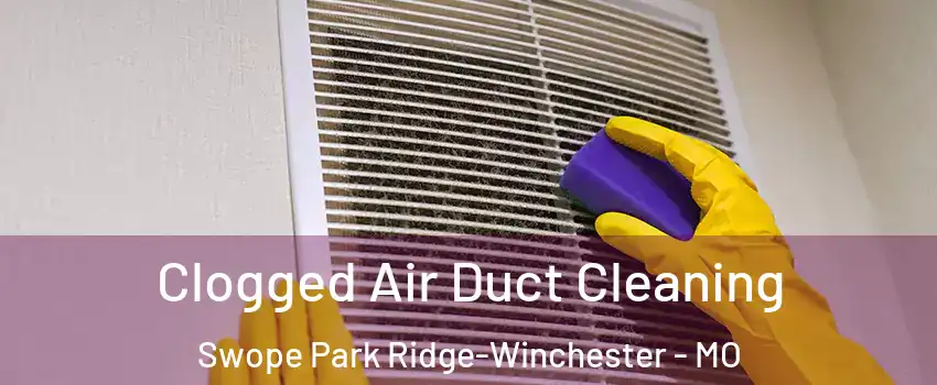 Clogged Air Duct Cleaning Swope Park Ridge-Winchester - MO