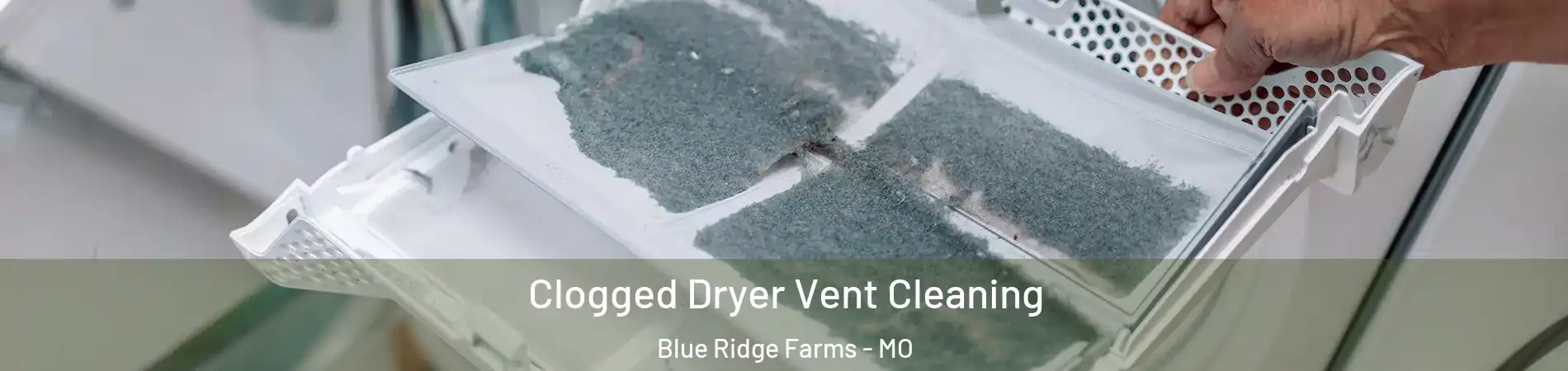 Clogged Dryer Vent Cleaning Blue Ridge Farms - MO