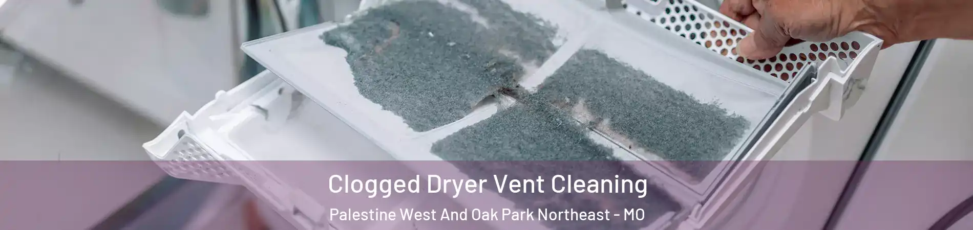 Clogged Dryer Vent Cleaning Palestine West And Oak Park Northeast - MO