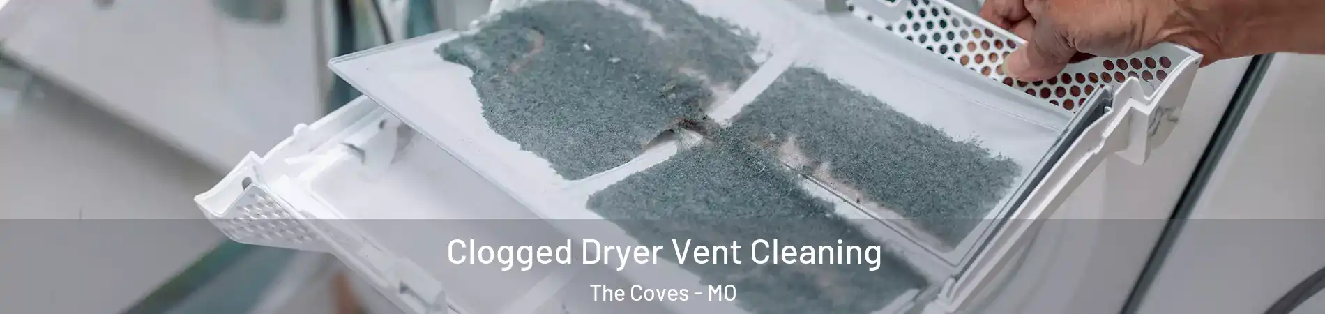 Clogged Dryer Vent Cleaning The Coves - MO