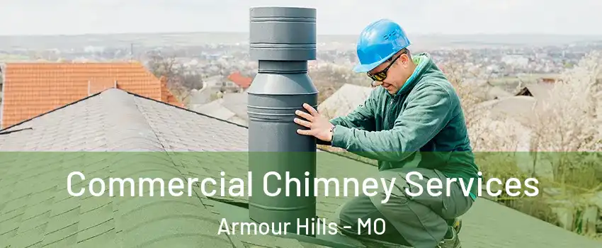 Commercial Chimney Services Armour Hills - MO