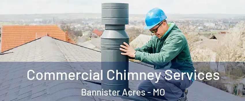 Commercial Chimney Services Bannister Acres - MO