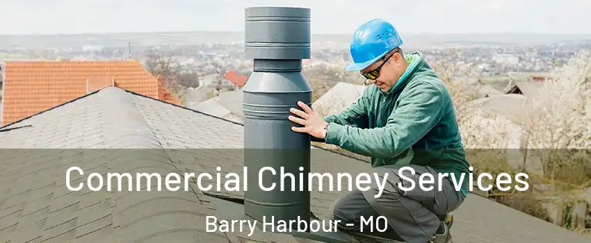 Commercial Chimney Services Barry Harbour - MO