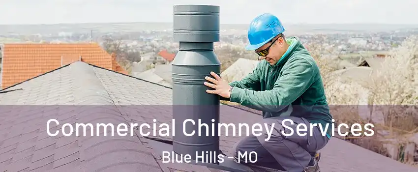 Commercial Chimney Services Blue Hills - MO