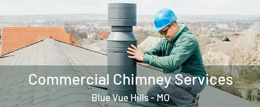 Commercial Chimney Services Blue Vue Hills - MO