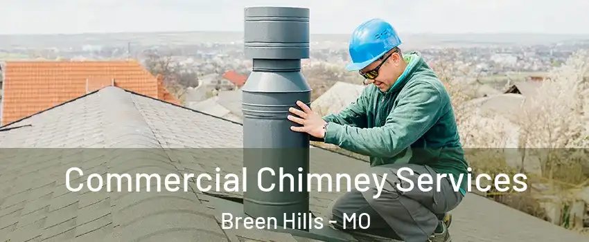 Commercial Chimney Services Breen Hills - MO