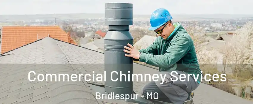 Commercial Chimney Services Bridlespur - MO