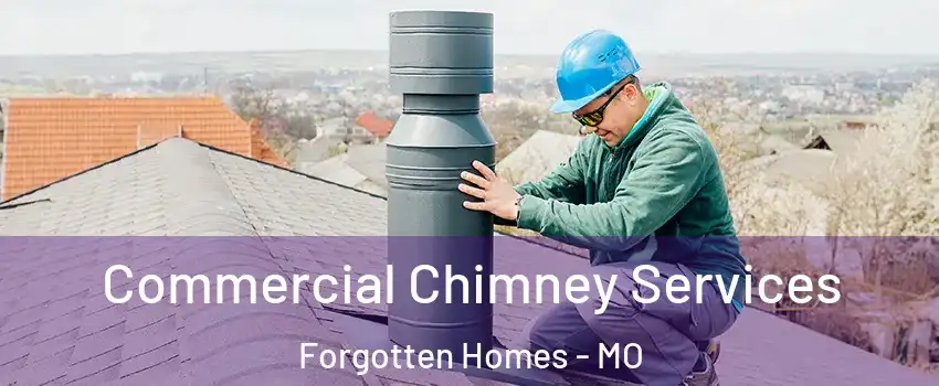 Commercial Chimney Services Forgotten Homes - MO